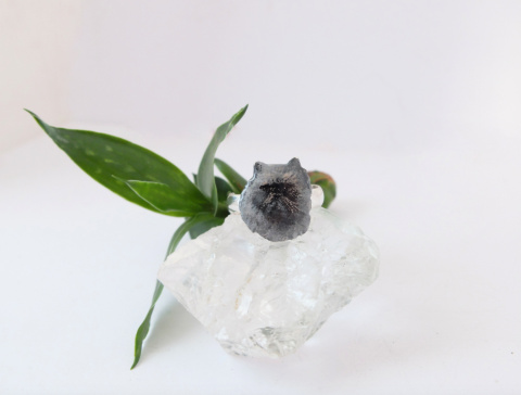 Pierścionek z portretem pupila – personalizowany portret psa lub kota malowany ręcznie | Srebro 925