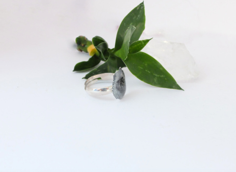 Pierścionek z portretem pupila – personalizowany portret psa lub kota malowany ręcznie | Srebro 925