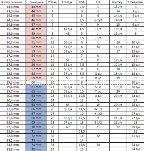 Pierścionek z portretem pupila – personalizowany portret psa lub kota malowany ręcznie | Srebro 925